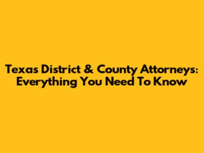 Texas District & County Attorneys: Everything You Need To Know