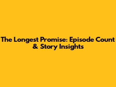 The Longest Promise: Episode Count & Story Insights