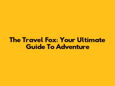 The Travel Fox: Your Ultimate Guide To Adventure