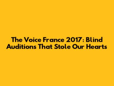 The Voice France 2017: Blind Auditions That Stole Our Hearts