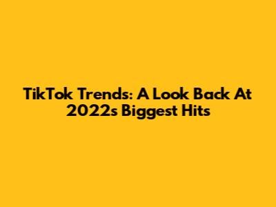 TikTok Trends: A Look Back At 2022's Biggest Hits