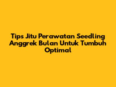 Tips Jitu Perawatan Seedling Anggrek Bulan Untuk Tumbuh Optimal