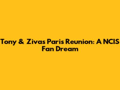 Tony & Ziva's Paris Reunion: A NCIS Fan Dream