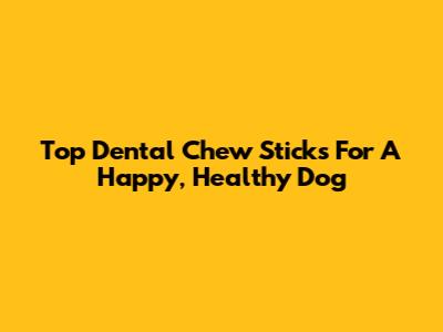 Top Dental Chew Sticks For A Happy, Healthy Dog