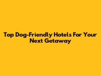 Top Dog-Friendly Hotels For Your Next Getaway