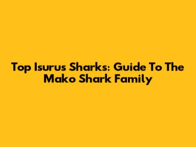 Top Isurus Sharks: Guide To The Mako Shark Family