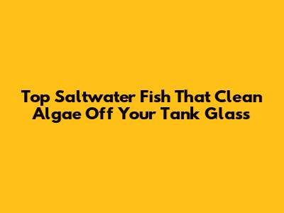 Top Saltwater Fish That Clean Algae Off Your Tank Glass
