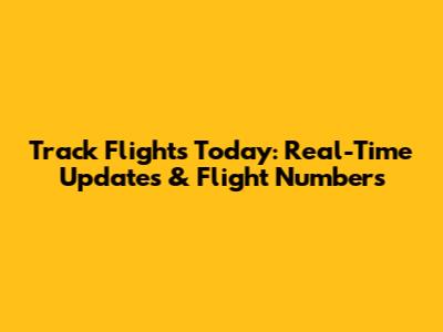 Track Flights Today: Real-Time Updates & Flight Numbers
