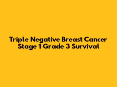 Triple Negative Breast Cancer Stage 1 Grade 3 Survival