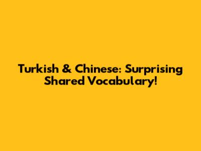 Turkish & Chinese: Surprising Shared Vocabulary!