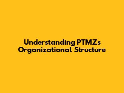 Understanding PTMZ's Organizational Structure