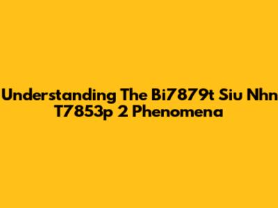 Understanding The Bi7879t Siu Nhn T7853p 2 Phenomena
