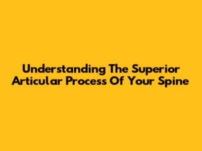 Understanding The Superior Articular Process Of Your Spine