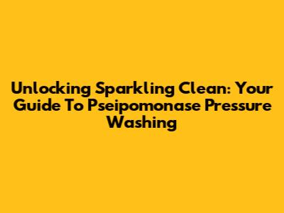 Unlocking Sparkling Clean: Your Guide To Pseipomonase Pressure Washing