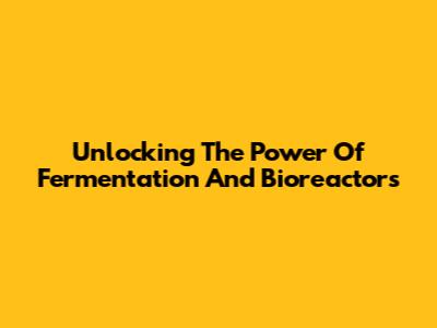 Unlocking The Power Of Fermentation And Bioreactors