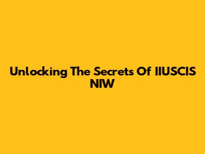 Unlocking The Secrets Of IIUSCIS NIW