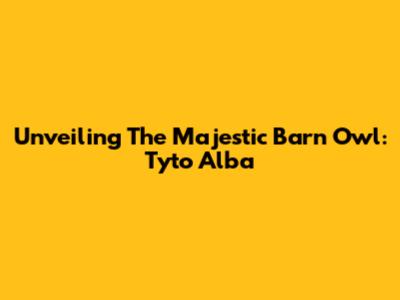 Unveiling The Majestic Barn Owl: Tyto Alba