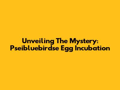 Unveiling The Mystery: Pseibluebirdse Egg Incubation
