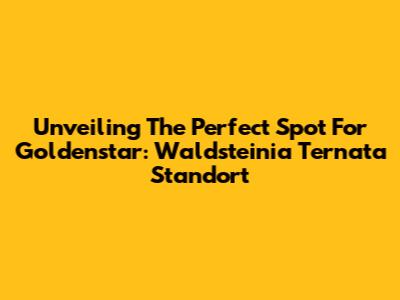 Unveiling The Perfect Spot For Goldenstar: Waldsteinia Ternata Standort