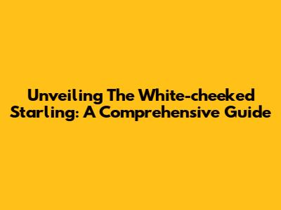 Unveiling The White-cheeked Starling: A Comprehensive Guide