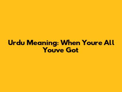 Urdu Meaning: When You're All You've Got