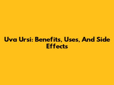 Uva Ursi: Benefits, Uses, And Side Effects