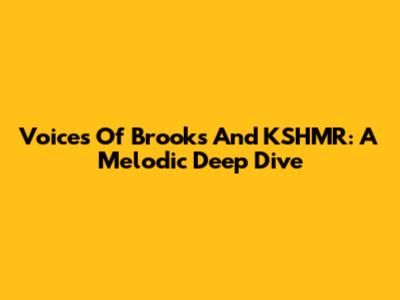 Voices Of Brooks And KSHMR: A Melodic Deep Dive