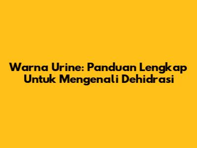 Warna Urine: Panduan Lengkap Untuk Mengenali Dehidrasi