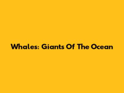 Whales: Giants Of The Ocean