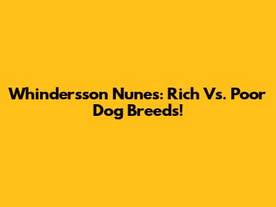 Whindersson Nunes: Rich Vs. Poor Dog Breeds!