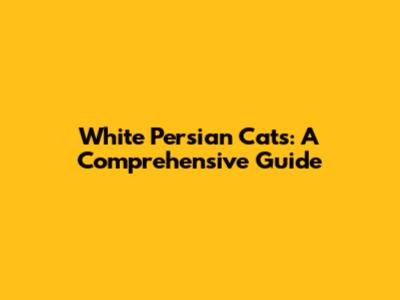 White Persian Cats: A Comprehensive Guide