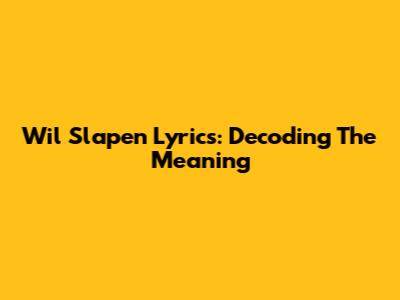 Wil Slapen Lyrics: Decoding The Meaning