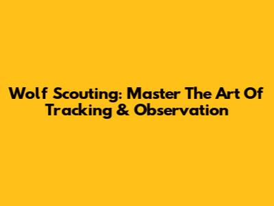 Wolf Scouting: Master The Art Of Tracking & Observation