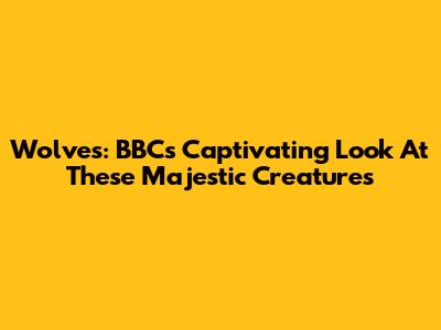 Wolves: BBC's Captivating Look At These Majestic Creatures