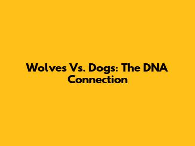 Wolves Vs. Dogs: The DNA Connection