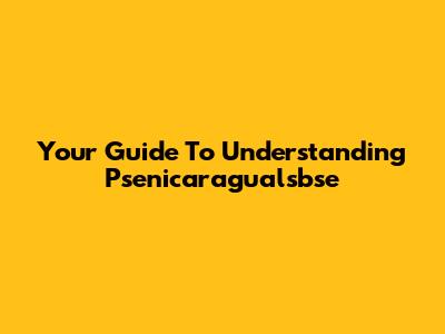 Your Guide To Understanding Psenicaragualsbse